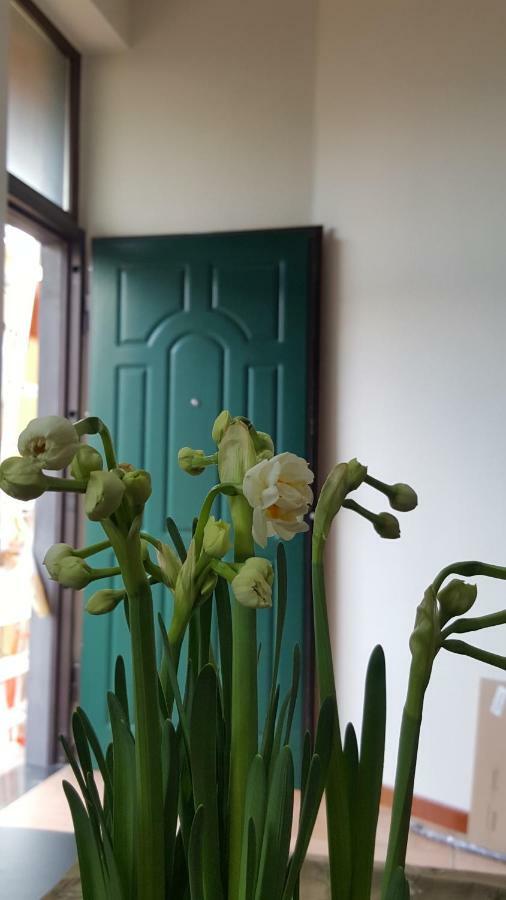 Ferienwohnung Il Giardino Sul Corso Scafati Exterior foto